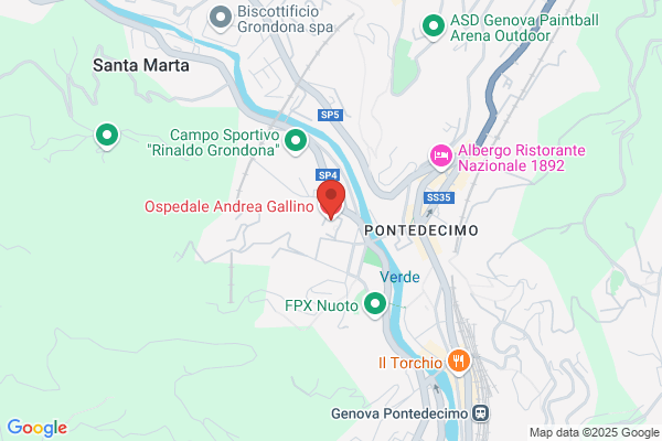 Percivale giulia