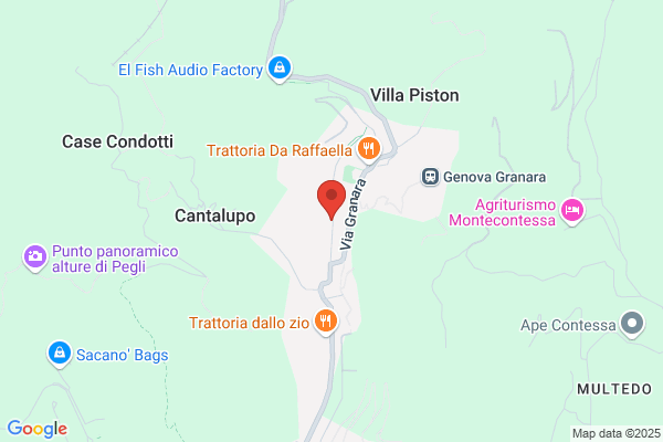 Partito Popolare Italiano