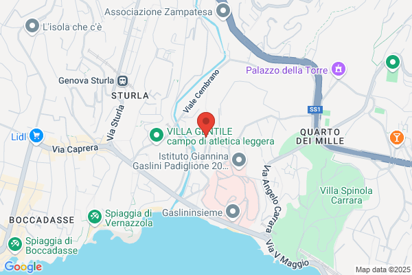 Rocca luigi