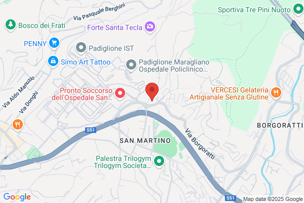 Benvenuti & C. Srl - Puntolegno