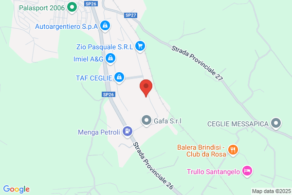 Tuttauto Ricambi Srl