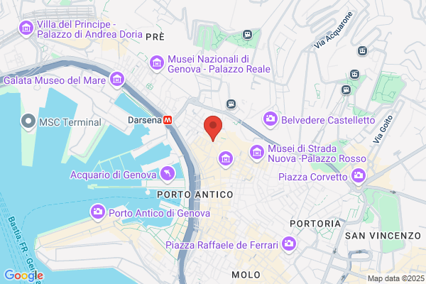 Pesce simonetta (Rag.)