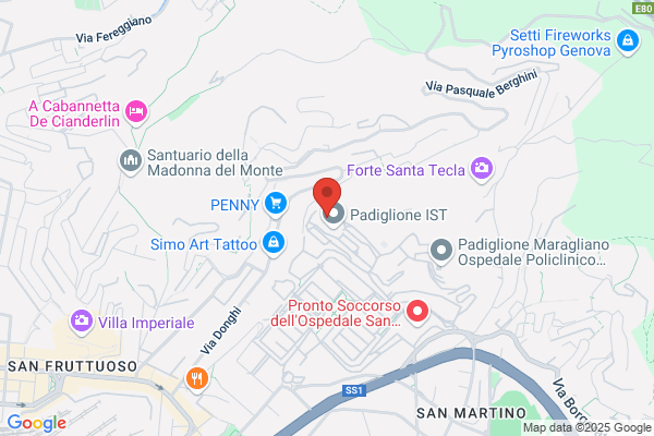 Istituto Scientifico Per Lo Studio E La cura dei tumori