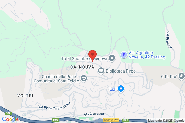 S.P.I. Cgil