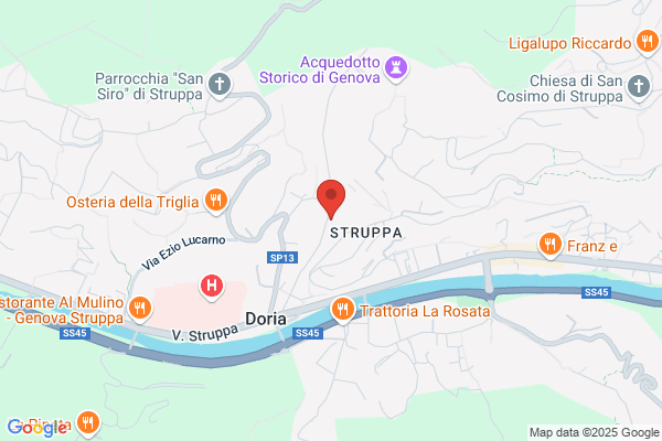 Volpi Decorazioni