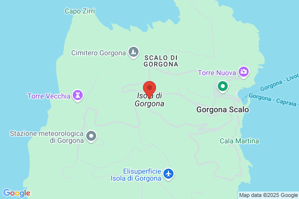 Gorgona Srl