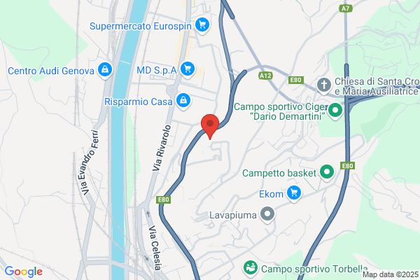 Tsg Trasporti