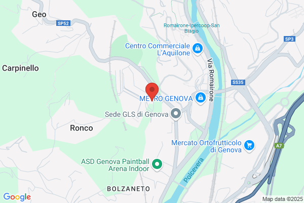 Linea Del Sud Ovest S.P.A.