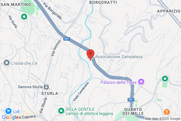 Zampa francesco