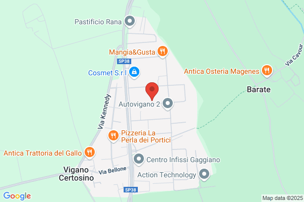Auto Vigano