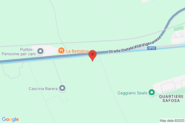 Taini Brusadelli Cesarina