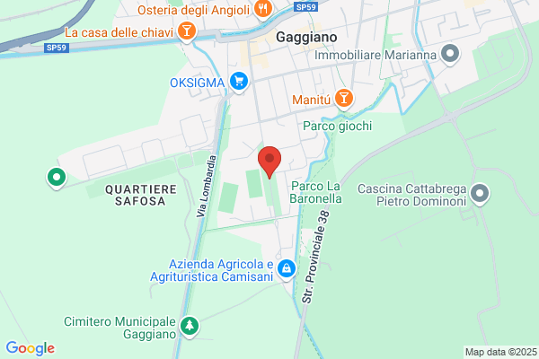 Vicini Parchi E Giardini Srl
