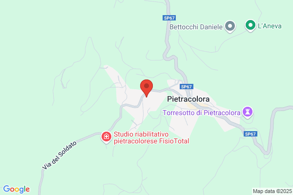 Piantini Torino Ortofrutticoli