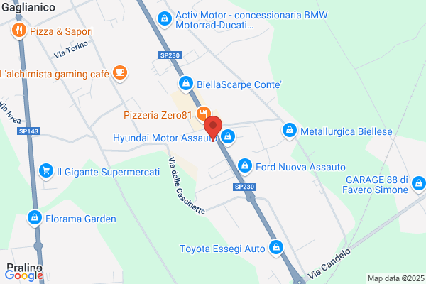 Finissaggio E Tintoria Ferraris (S.P.A.)