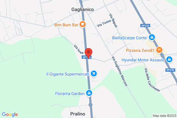 Centro Piemonte Servizi Srl