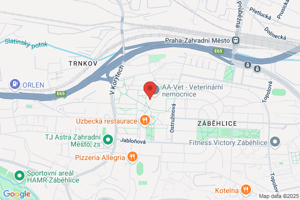 Geotecs Srl
