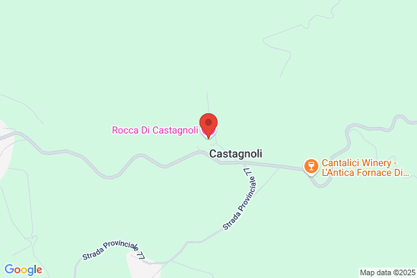 Agriturismo Toscana Rocca di Castagnoli