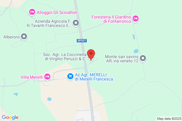 La Coccinella Di Allanti Roberta