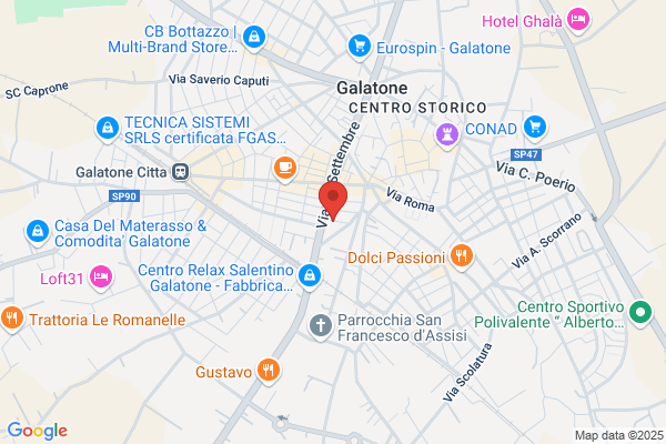 Gatto Gino (Geom.)
