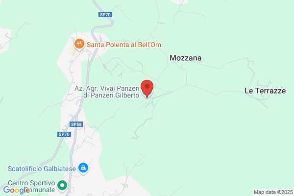 Panzeri G. Vivai