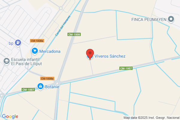 Viveros Sanchez alexis Ediver