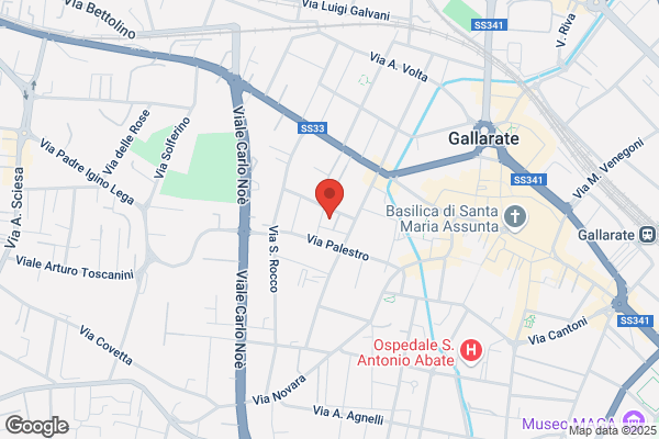 Fiorentini Avv. Daniela