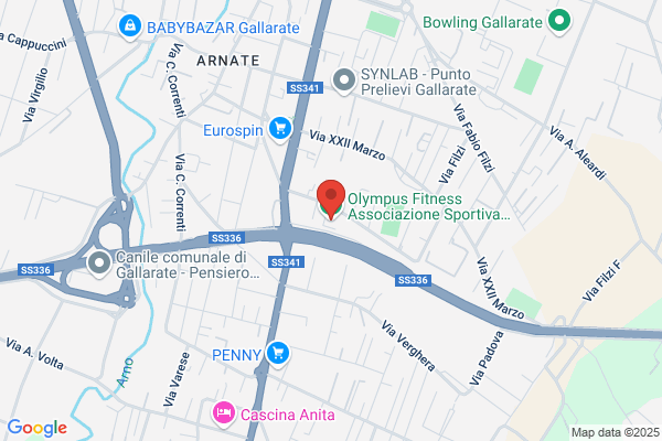 Olympus Fitness Club