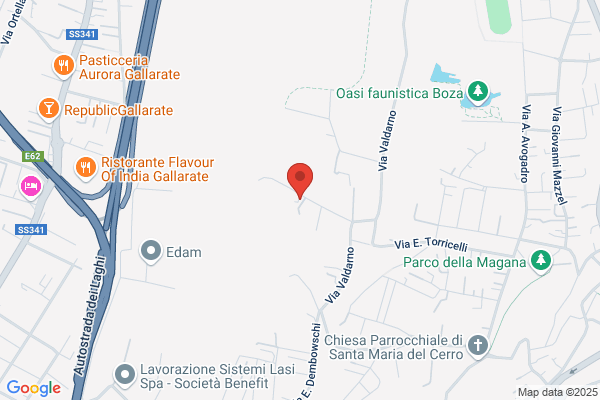 Lampo Bosino Trasporti