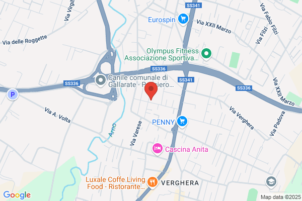 Minerva Srl
