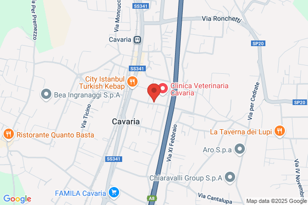 Mai Di Lunedi Di Marsiglia Franca