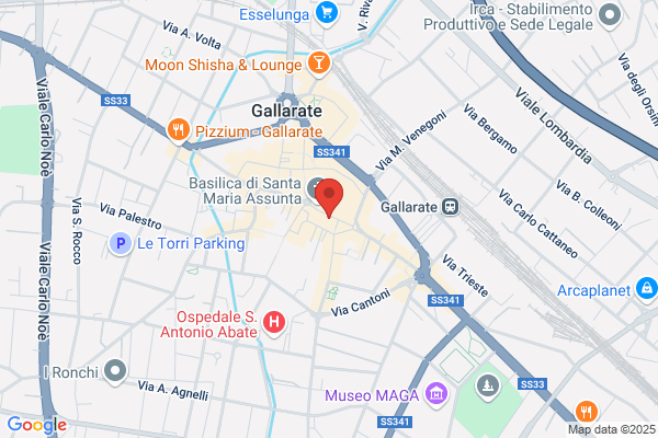 Federal Express Europe Inc. Filiale Italiana
