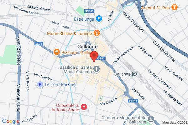 Veneziani gianni