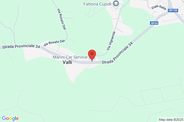 Marini Car Service