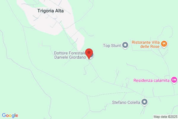 Mancini ruggero