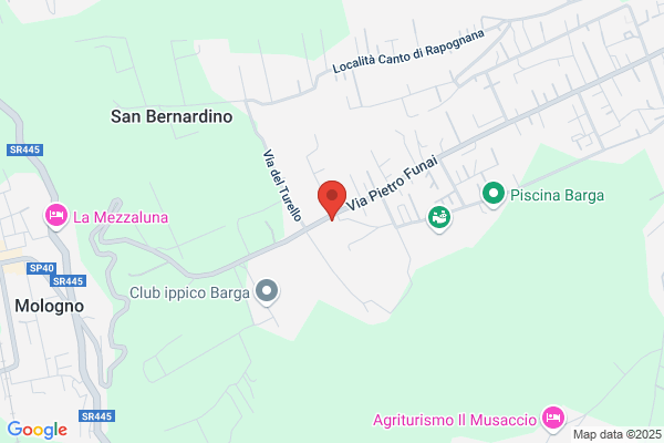 Ambulatorio Veterinario Dr. Andreotti e Dr. Lucchesi