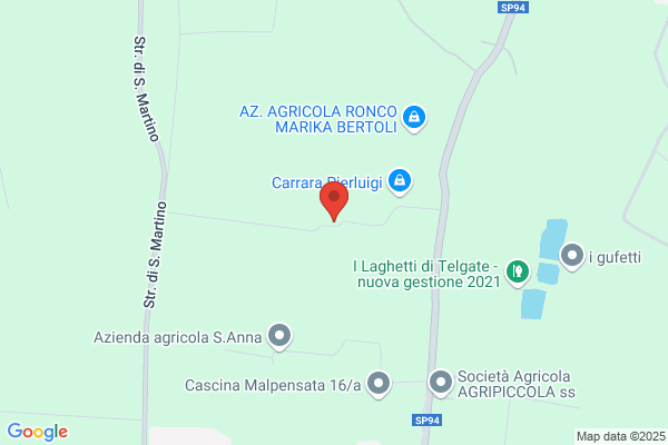 Carrara mario