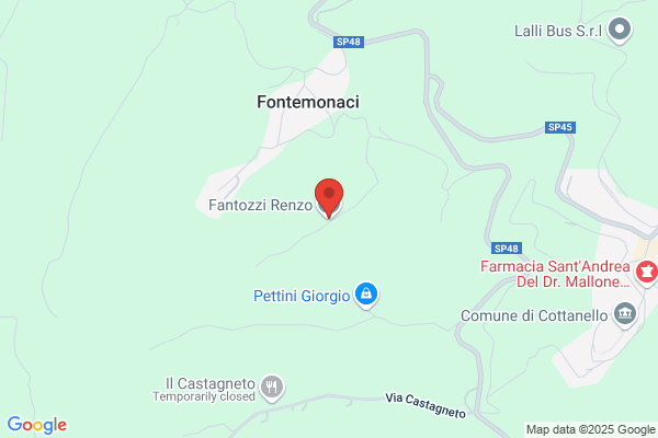 Fantozzi Dante Renzo (Dr.)