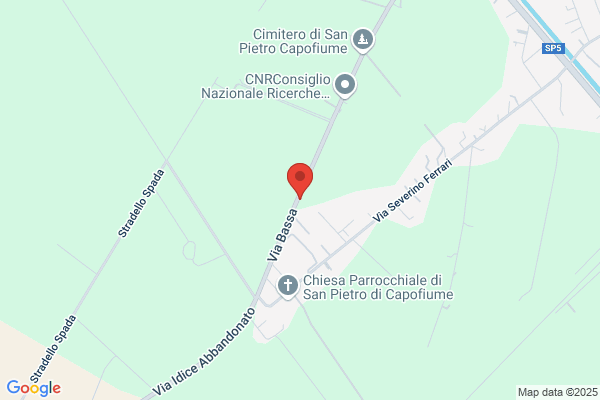 Montanari remo