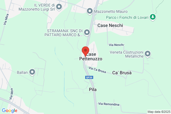 Stramana domenico