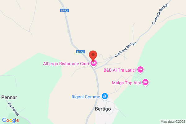 Pizzeria Allalpino