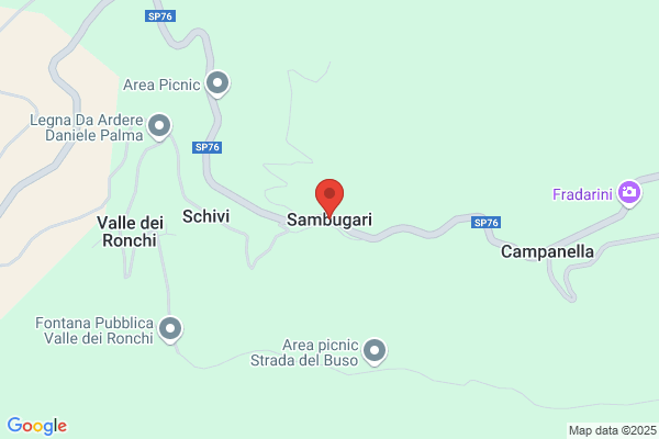Sansoni giacomo
