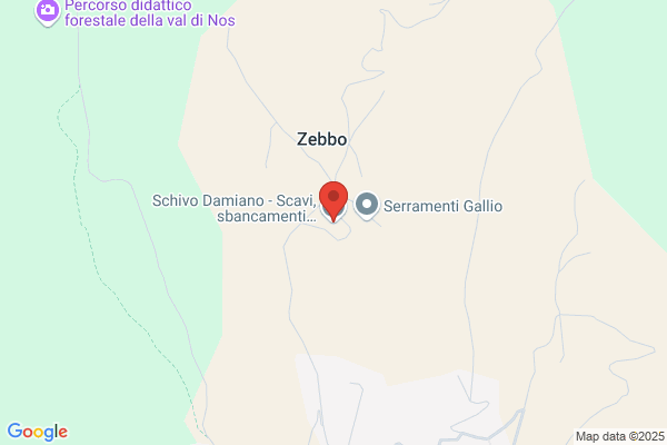 Schivo Damiano Scavi