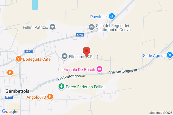 Ricci gianfranco