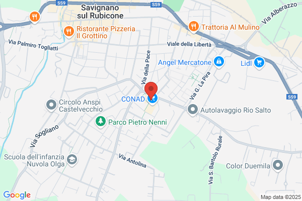 Dalla Manu Gastronomia e Piadineria