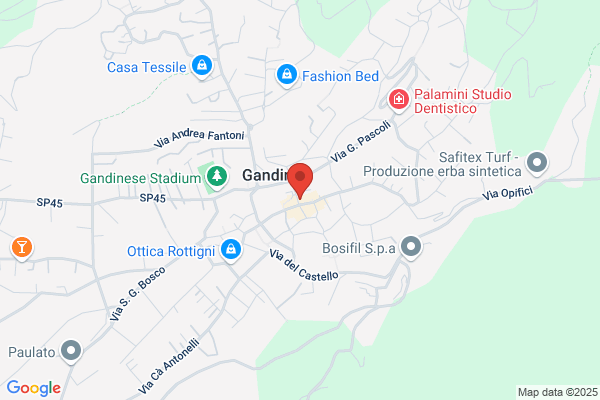 Moro bellarmino (Geom.)