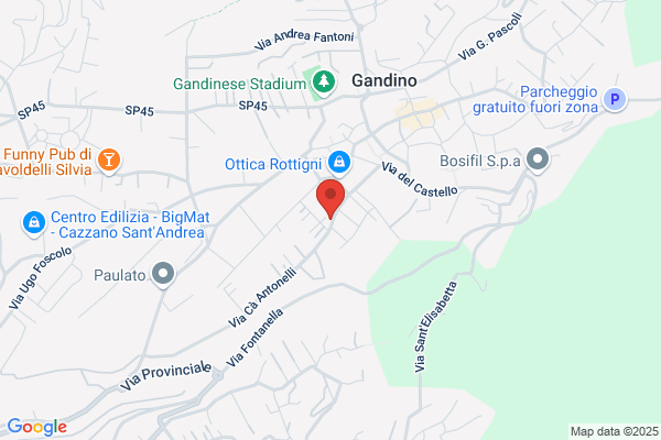 Ongaro,alberto
