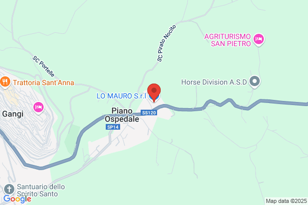 Lo Mauro