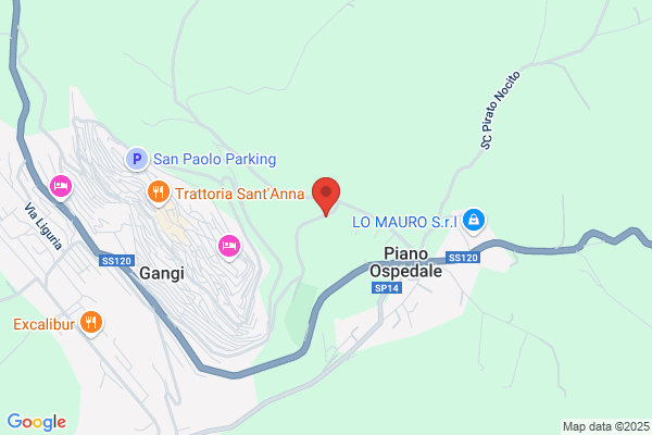 Virga ettore