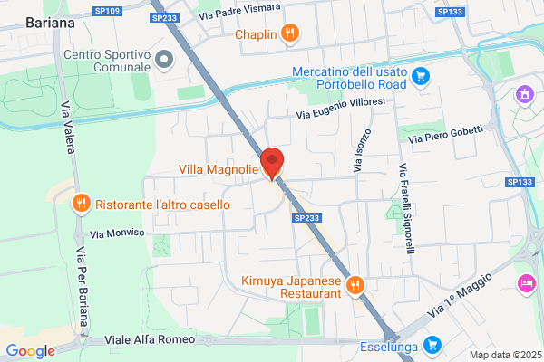 Magni vittorio