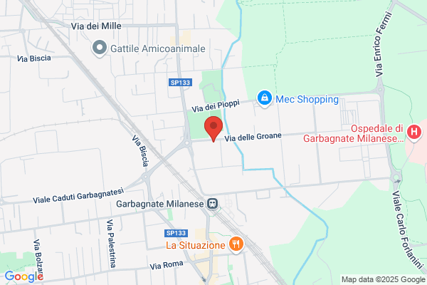 Marcolongo leone